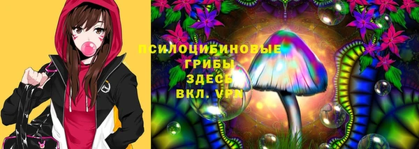 ALPHA PVP Алексин